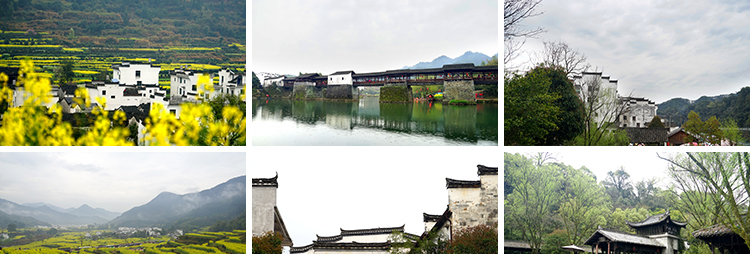 古镇婺源旅游风景点照片摄影油菜花乡村田园风光高清抖音图片素材