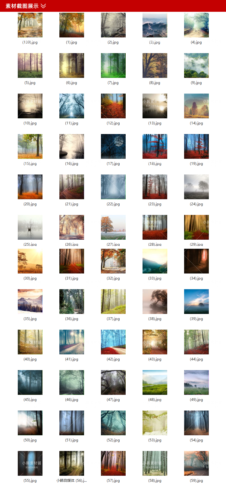 139张森林迷雾风景横版高清抖音自媒体pr剪辑背景图片素材