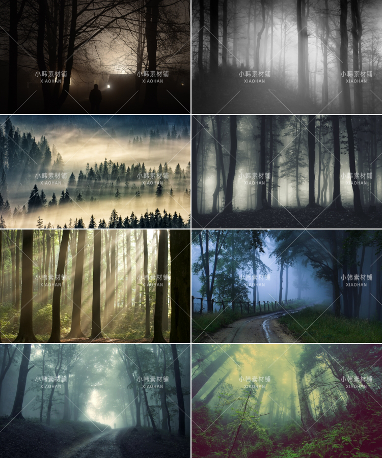 139张森林迷雾风景横版高清抖音自媒体pr剪辑背景图片素材