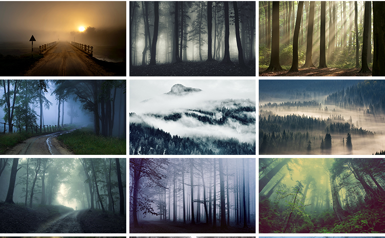 原始森林迷雾阴森恐怖树林雾气晨雾云雾缭绕自然美景风景图片素材