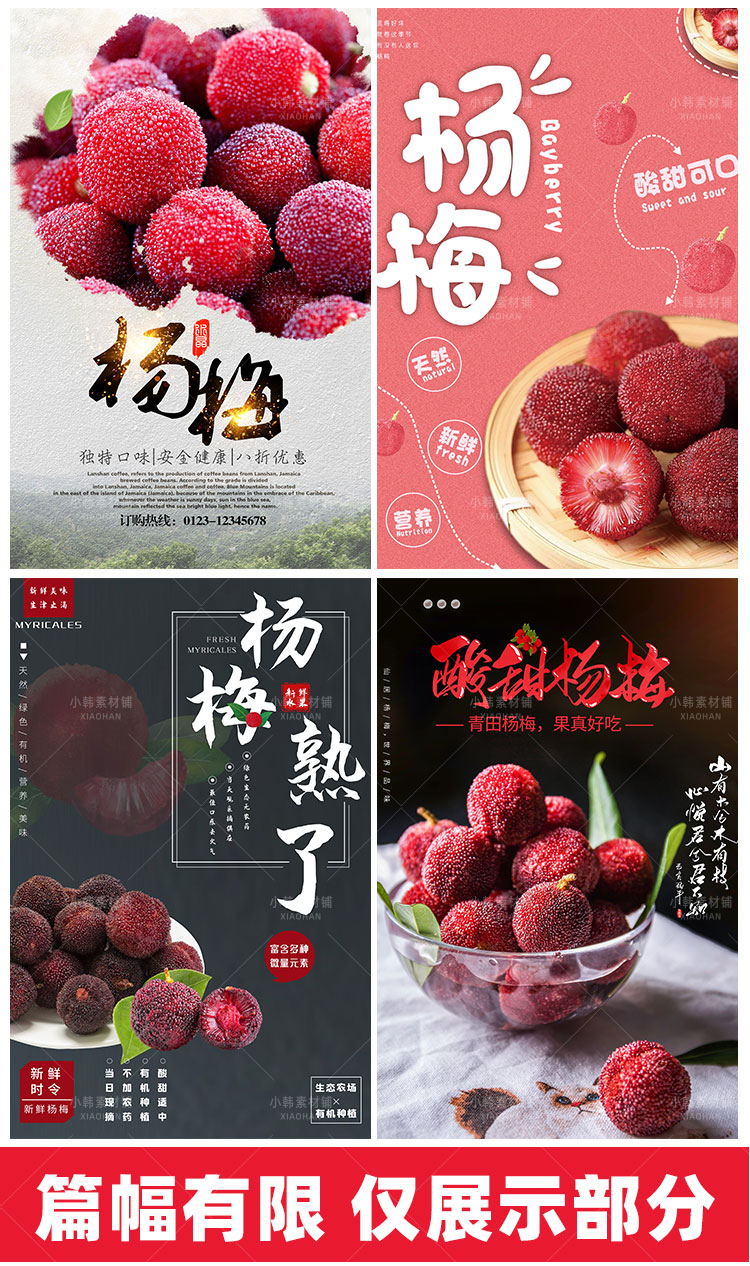 餐饮美食PSD海报背景模板杨梅新鲜水果促销宣传单广告设计素材