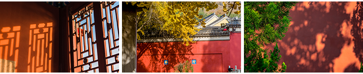 红墙宫殿禅意古典建筑旅游风景清新照片摄影抖音高清图片设计素材