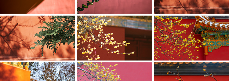 红墙宫殿禅意古典建筑旅游风景清新照片摄影抖音高清图片设计素材