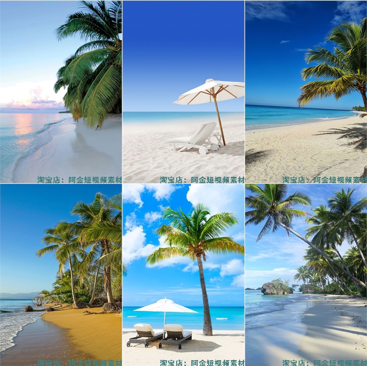 海边沙滩椰树夏天夏日海滩风景海水抖音绿幕直播led背景图片素材