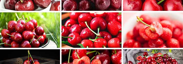 樱桃车厘子红色樱桃新鲜水果实果肉特写美食摄影JPG照片图片素材