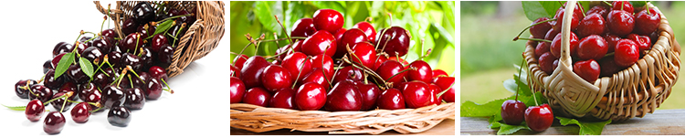 樱桃车厘子红色樱桃新鲜水果实果肉特写美食摄影JPG照片图片素材