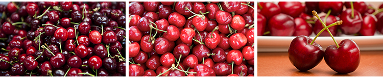 樱桃车厘子红色樱桃新鲜水果实果肉特写美食摄影JPG照片图片素材