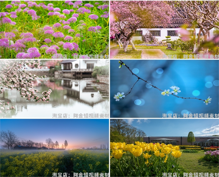 花海花田花朵花丛jpg风景高清抖音绿幕虚拟直播间led背景图片素材