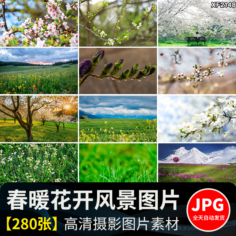 春暖花开唯美春天花朵植物春季初春萌芽发芽开花自然风景图片素材