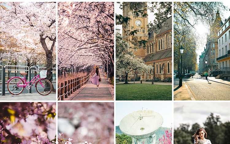 春暖花开唯美春天花朵植物春季初春萌芽发芽开花自然风景图片素材