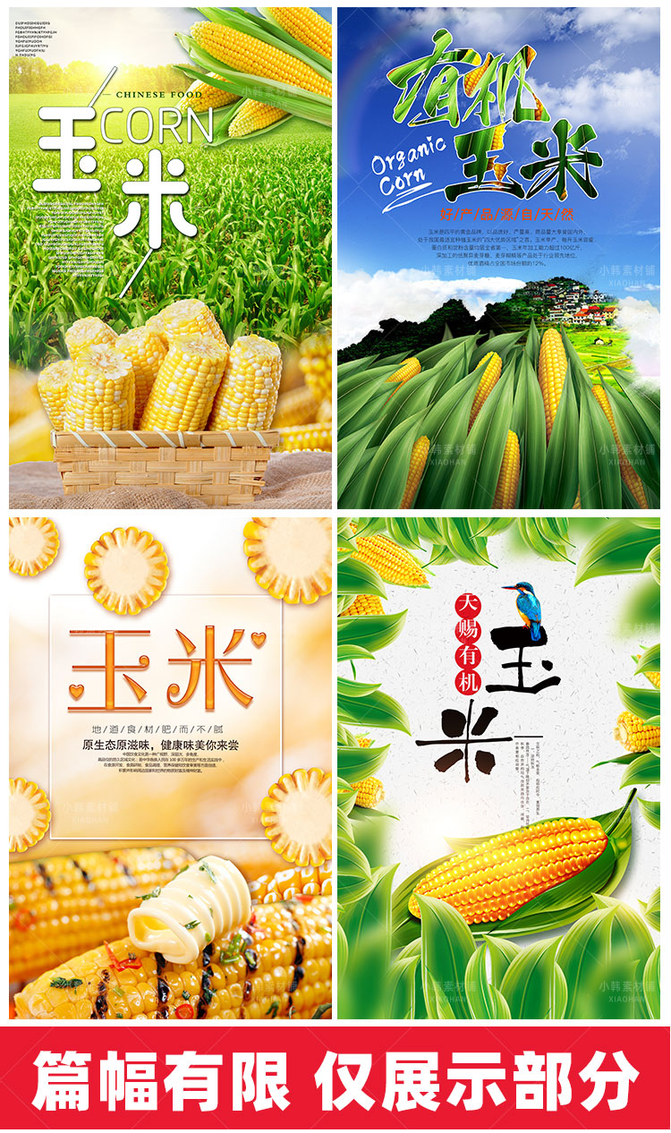 美食餐饮PSD海报背景模板优质玉米食材电商广告设计海报素材