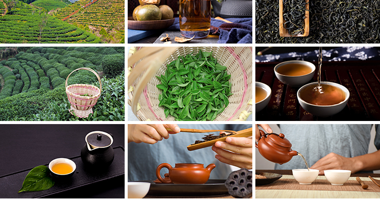 中国茶文化茶道茶叶洗茶艺喝茶品茶沏茶泡茶意境禅意抖音图片素材