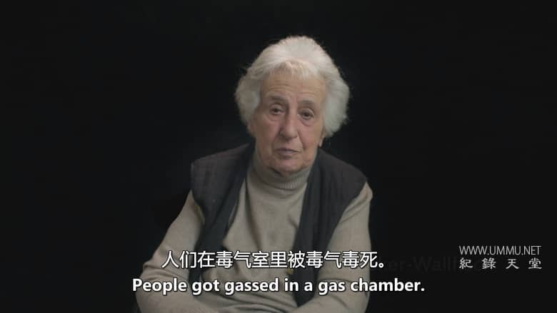 我的纳粹指挥官父亲 The Commandant’s Shadow