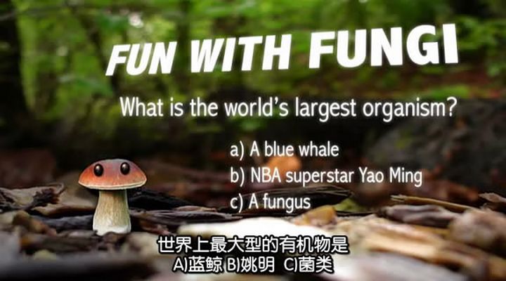 了解你的蘑菇 Know Your Mushrooms