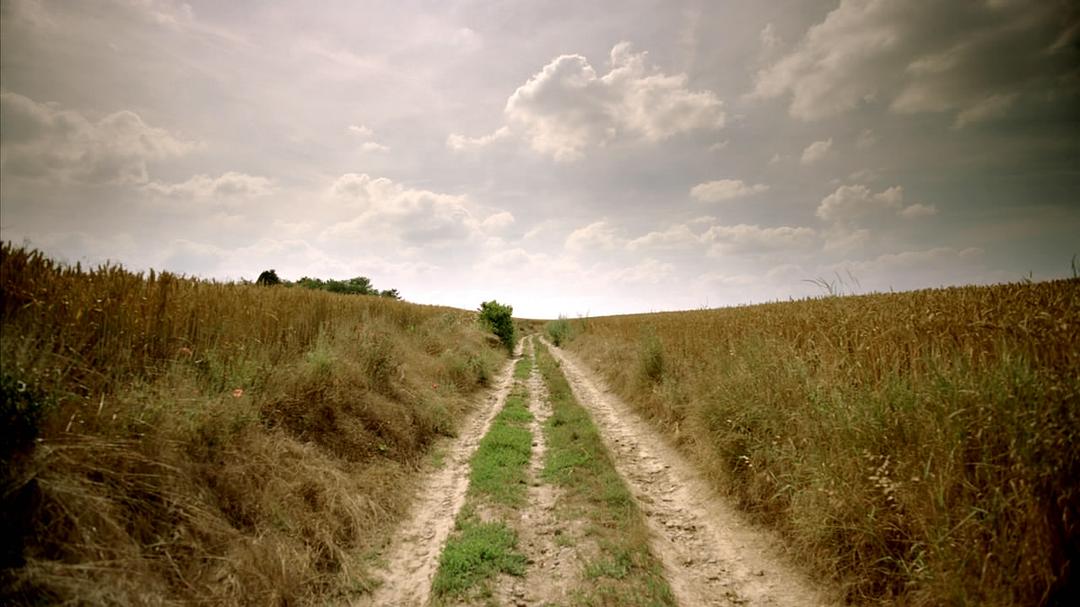 梵高：天赋之笔 Moi, Van Gogh