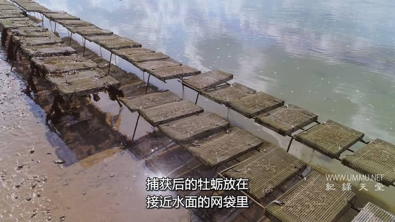 戈登-拉姆塞：未知对决 Gordon Ramsay: Uncharted Showdown