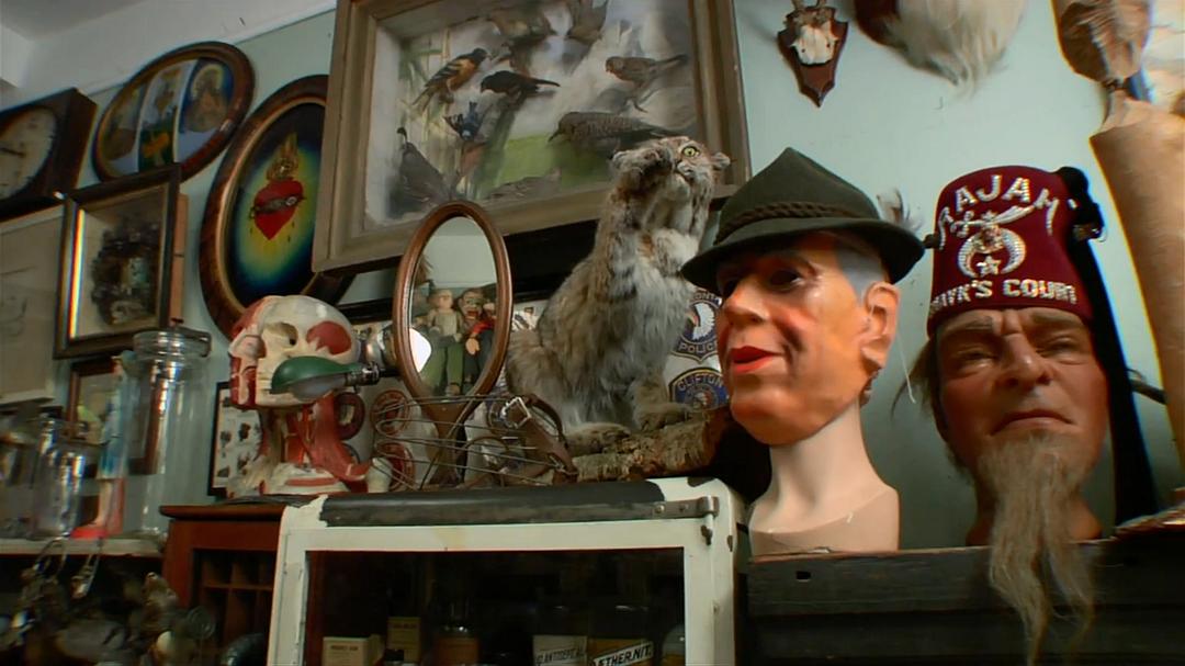 奇异世界 第一季 Discovery Channel: Oddities Season 1