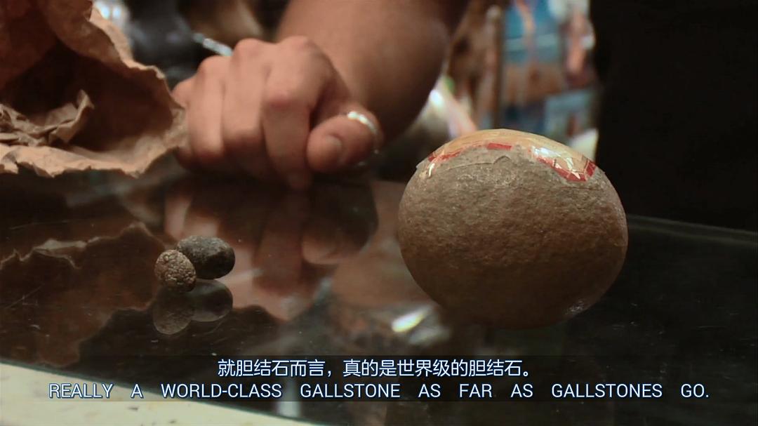 奇异世界 第一季 Discovery Channel: Oddities Season 1