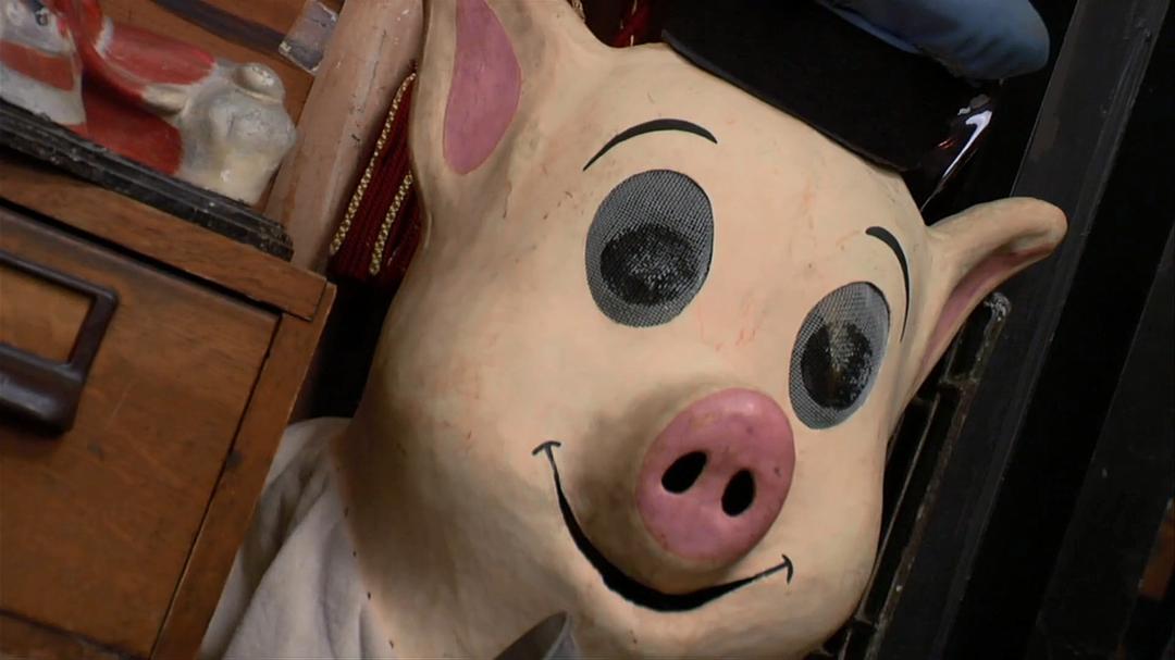 奇异世界 第一季 Discovery Channel: Oddities Season 1