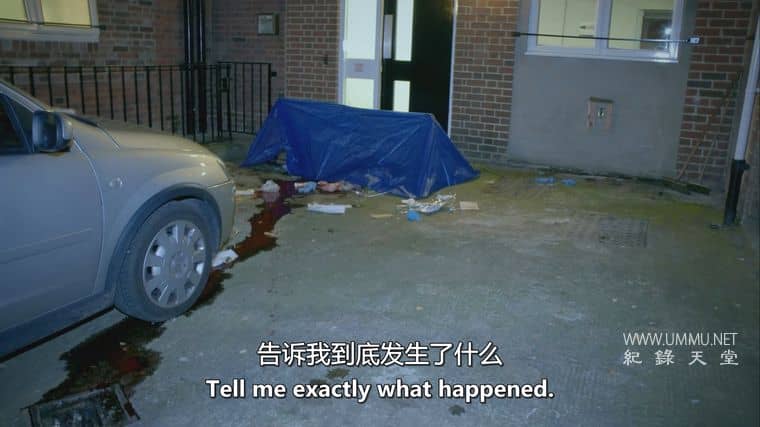 凶杀侦缉档案 The Murder Detectives