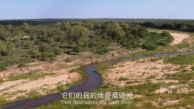 非洲致命国度 Africa's Deadly Kingdom