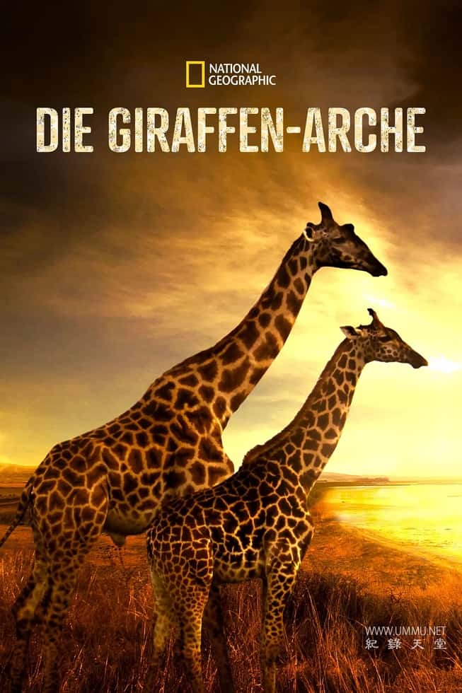 营救长颈鹿之漫漫归途 Saving Giraffes: The Long Journey Home