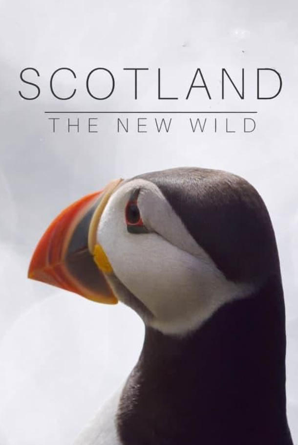 苏格兰：荒野新生 Scotland：The new Wild
