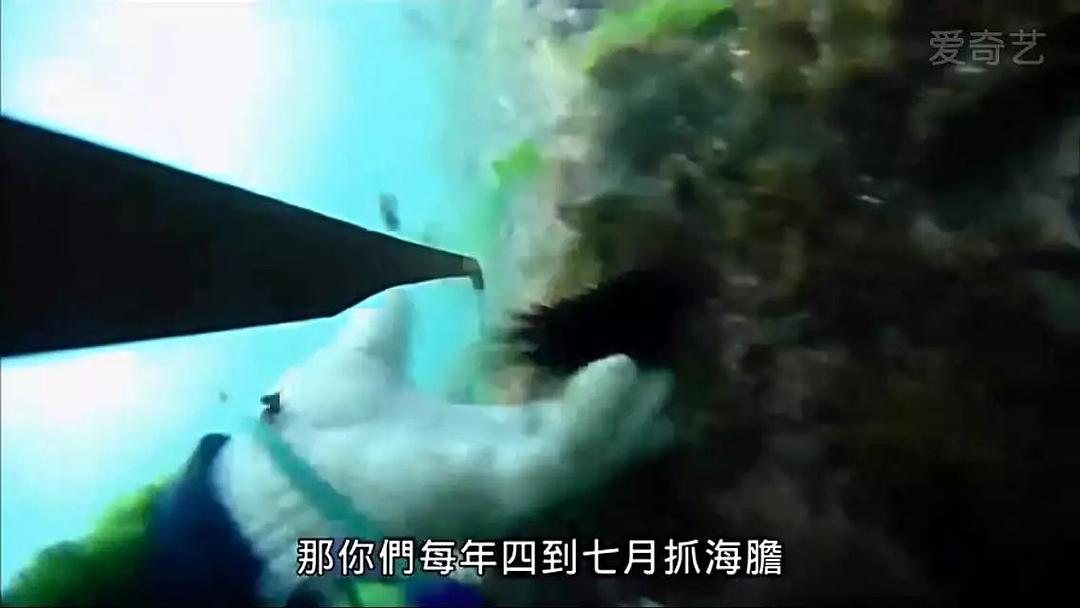 台湾食堂 台灣食堂