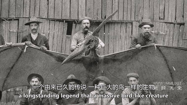 人与历史 Man vs. History