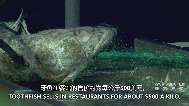 海洋战士 Ocean Warriors