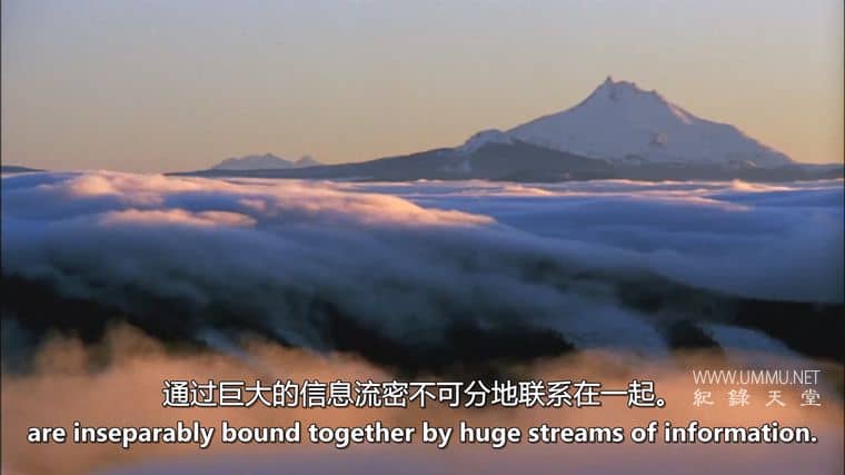 水的秘密 Secret Of Water