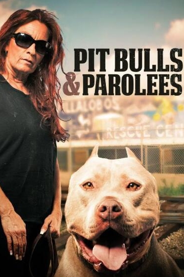 狗儿救援迎新生  第9季  Pit Bulls and Parolees