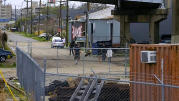 狗儿救援迎新生  第9季  Pit Bulls and Parolees