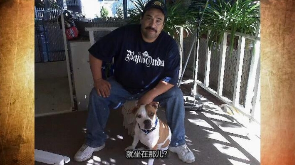 狗儿救援迎新生 第3季 Pit Bulls and Parolees