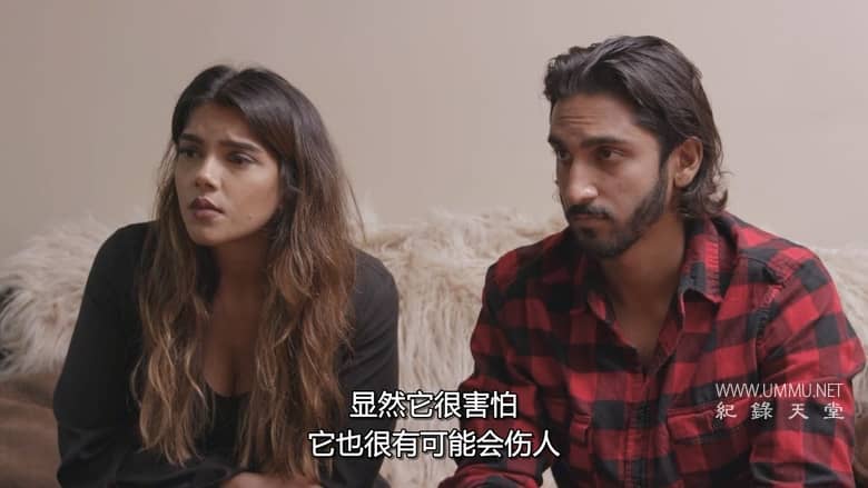 狗：不可能 Dog: Impossible