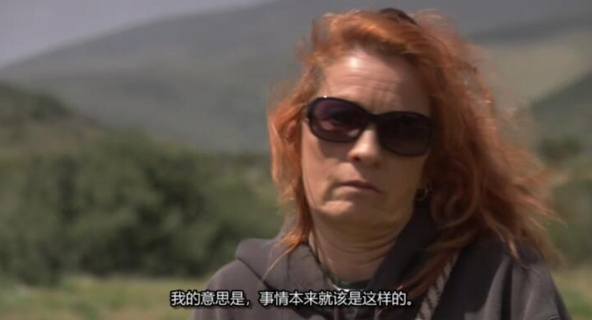 [狗儿救援迎新生 第2季 Pit Bulls and Parolees