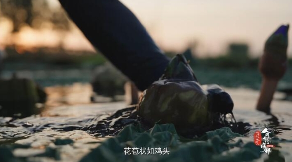 人间有味山河鲜 第3季