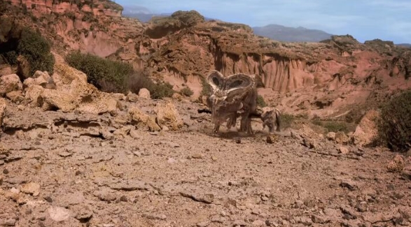 《恐龙进化史 Dinotasia》