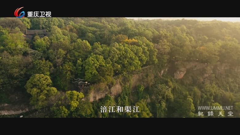 卢作孚 A Path to His Garden