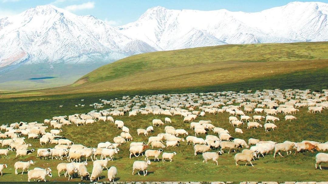 青海·我们的国家公园