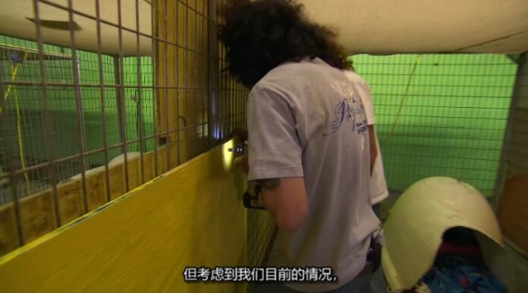 狗儿救援迎新生 第6季 Pit Bulls and Parolees