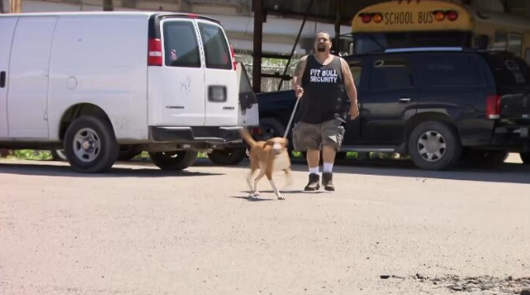 狗儿救援迎新生 第6季 Pit Bulls and Parolees