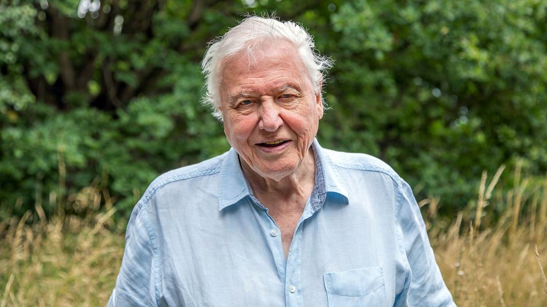 完美星球 A Perfect Planet