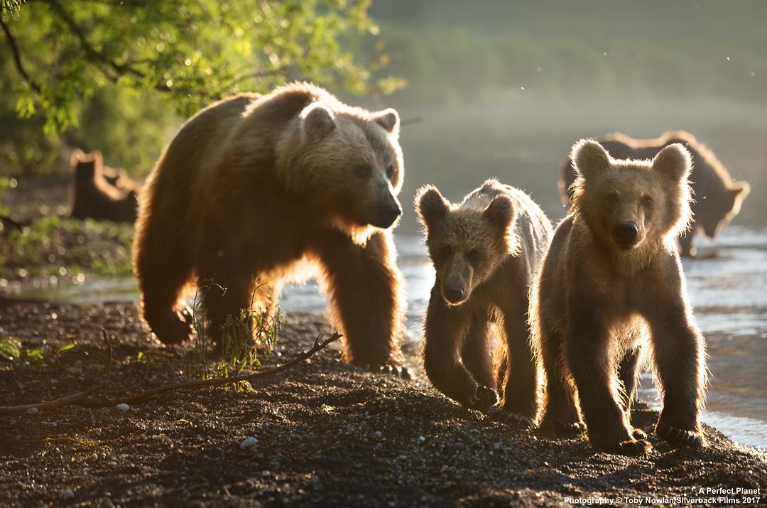 完美星球 A Perfect Planet