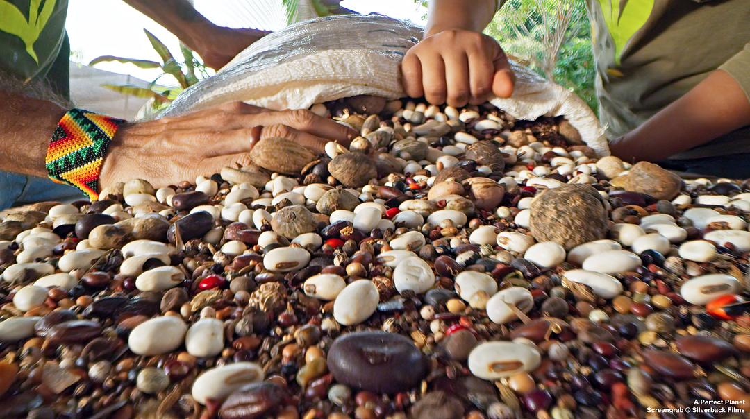 完美星球 A Perfect Planet