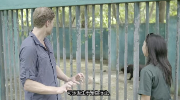 兽医狂野行：全球救援  第1季  Vet Gone Wild: Global Rescue