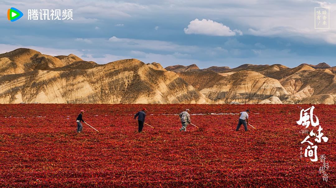 风味人间 第五季