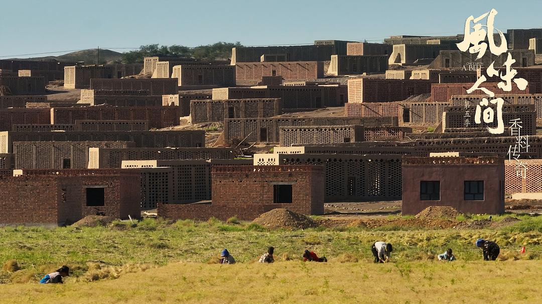 风味人间 第五季