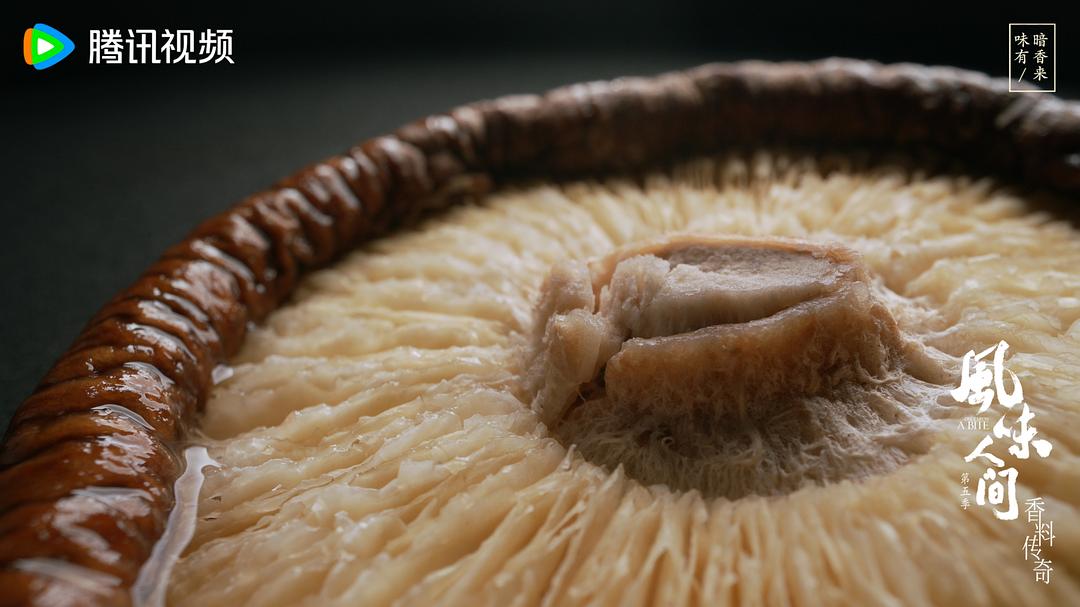 风味人间 第五季