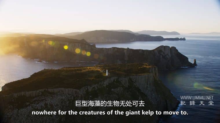 澳大利亚海洋奇幻之旅 Australia's Ocean Odyssey